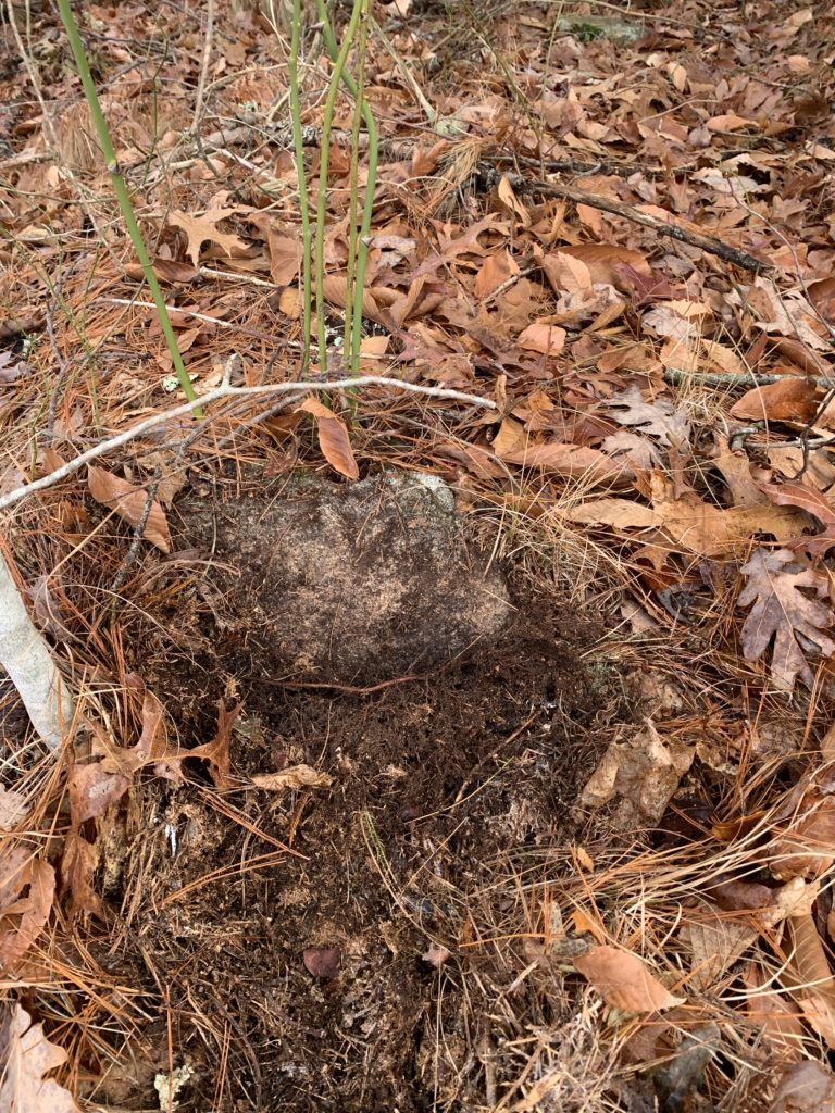 Buried Headstone Sheldon Hill