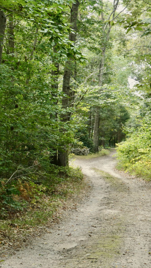 Holly Ridge Rd. South Kingstown, RI SHELDON Property