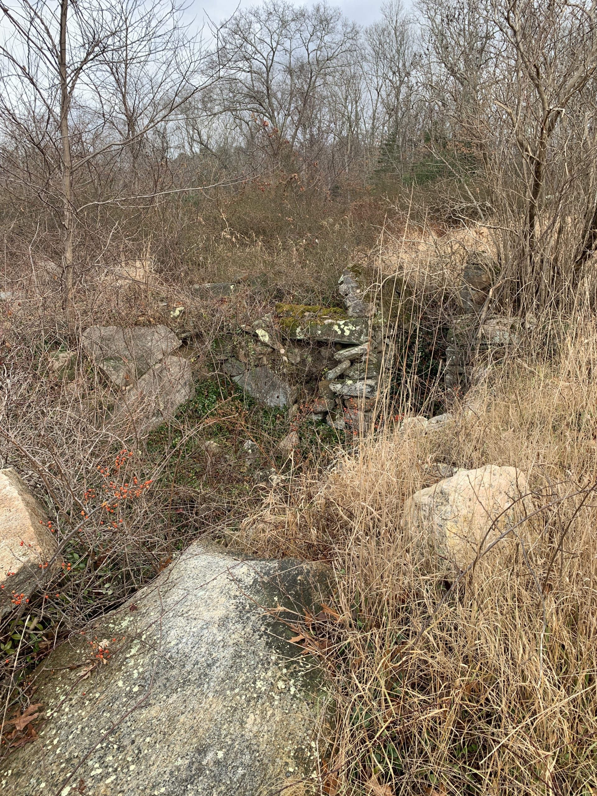 Remains of Foundation of 1691 house on Sheldon Hill courtesy of Sissy Walker