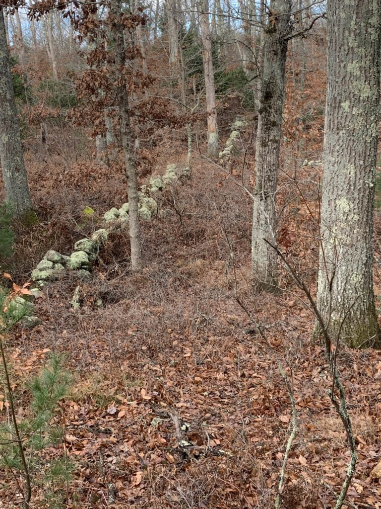 Sheldon Hill Stone wall Courtesy of Sissy Walker