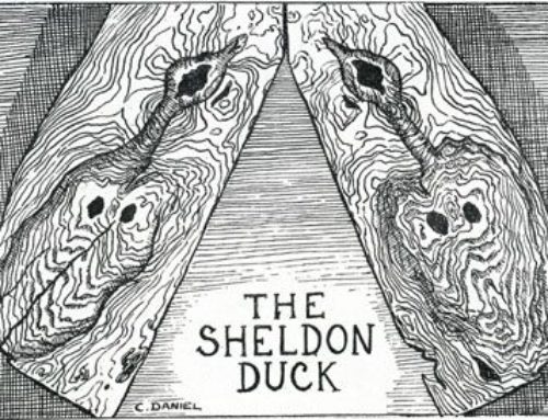 More on the Sheldon Duck