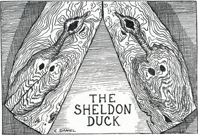 The Sheldon Duck - Credit Wikipedia.org