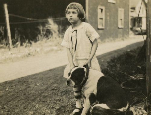 “Connecting the Dots” by Mary Jane Sheldon Barrett